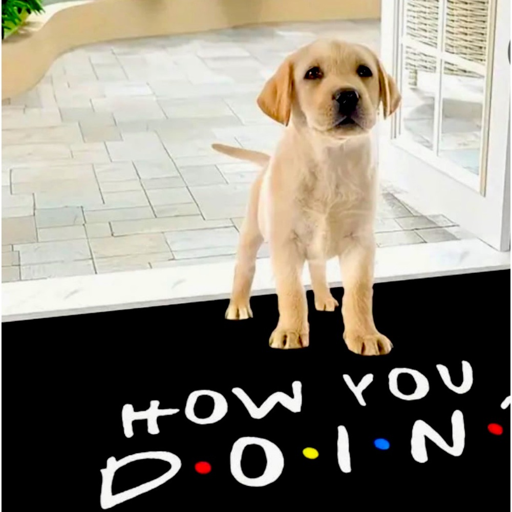 Friends the show welcome mat!